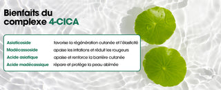 Infographie complexe 4-CICA SOME BY MI - asiaticoside, madécassoside, acide asiatique et acide madécassique
