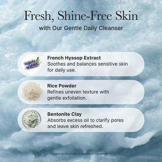 Infographie ingredients ARENCIA - hysope, poudre de riz et argile bentonite sur fond bleu texture
