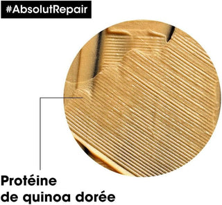 Texture doree proteine de quinoa en gros plan - ingredient cle L'Oreal Professionnel Absolut Repair Golden