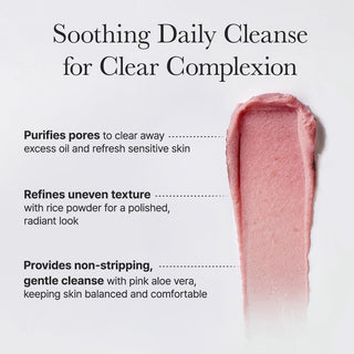 Arencia Fresh Rosehip Rice Mochi Cleanser - swatch texture rose sur fond blanc avec description des actifs