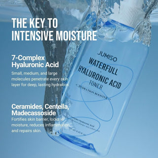 Waterfull Hyaluronic Toner - 250ml