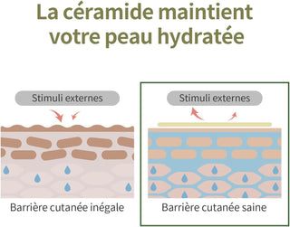 Round Lab Toner Soja Noir - schema comparatif barriere cutanee saine vs inegale avec ceramide