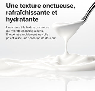 Beauty of Joseon Dynasty Cream - cuillere versant texture creme blanche onctueuse et hydratante