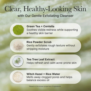 Arencia Fresh Green Rice Mochi Cleanser - ingredients cles the vert, centella, poudre de riz et hamamelis