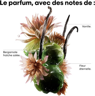 Notes parfumees du masque L'Oreal Professionnel Absolut Repair Molecular - vanille, bergamote et fleur