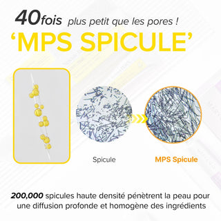 Infographie MPS Spicule MARY&MAY - micro-spicules 40 fois plus petits que les pores, vue microscope