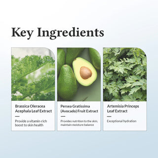DR.ALTHEA 147 Barrier Cream - ingredients cles chou kale, avocat et artemisia en trois vignettes vertes