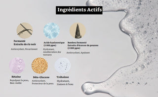 Haruharu Wonder Black Rice Hyaluronic Essence - infographie ingredients actifs riz noir, acide hyaluronique et betaine