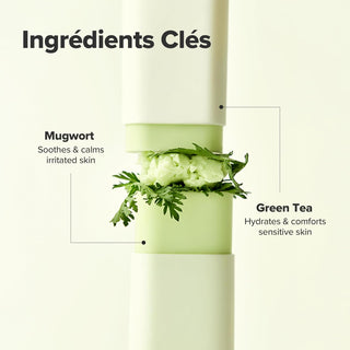 Beauty of Joseon Matte Sun Stick - ingredients cles armoise apaisante et the vert hydratant sur fond vert pastel