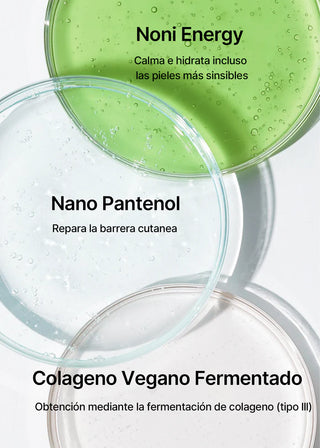 Trois ingredients cles CELIMAX Noni Ampoule en boites de Petri - Noni Energy, Nano Pantenol, Collagene vegan