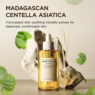 SKIN1004 Centella Ampoule devant des feuilles de centella et une pierre naturelle sur fond beige