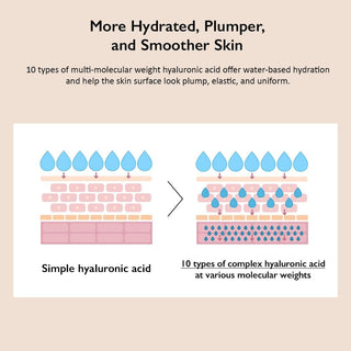 Schema comparatif penetration acide hyaluronique simple vs 10 types multi-poids moleculaires Haruharu Wonder