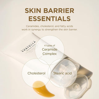 SKIN1004 Centella Cream - schema ingredients barriere cutanee ceramides, cholesterol et acide stearique